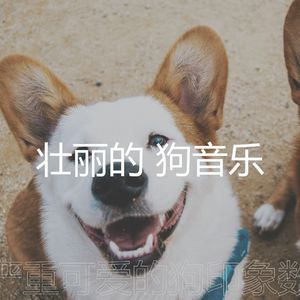 抚慰的可爱的狗回忆