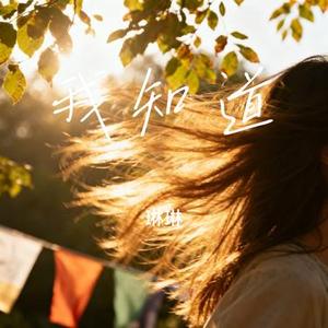 我知道 (琳琳 Remix)