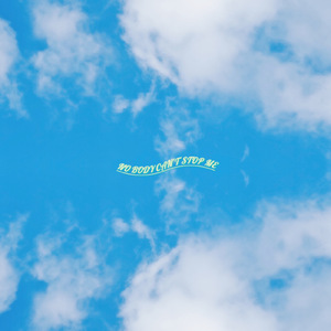 Nobody can't stop me