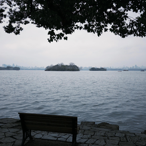 Wilderness beat（西湖水）