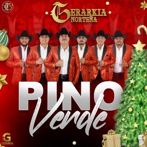 Pino Verde
