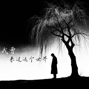 我曾来过这个世界