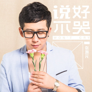 说好不哭