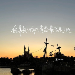 你辜负了我的青春最后选了她