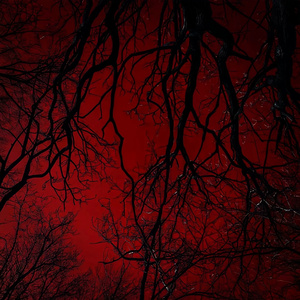 给我兄弟两个人拍一张照片