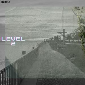 Level 2