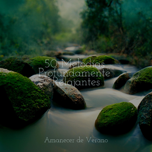 El Eterno Influjo del Paraíso