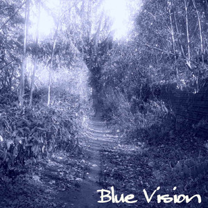 BLUE VISION (feat. メグッポイド)