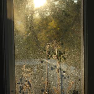 WHAT DO YOU DREAM ABOUT? (Holly North Remix)