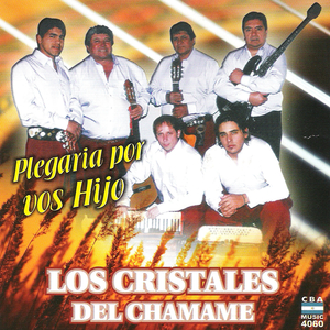 Ya Llegaron los Cristales