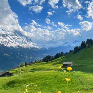 遇见今世你我 伴奏