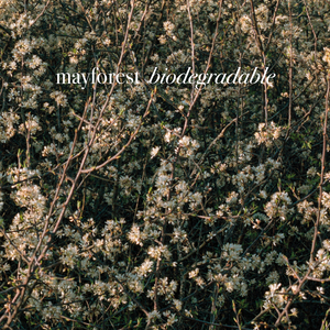 Biodegradable
