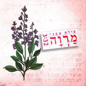 מרווה