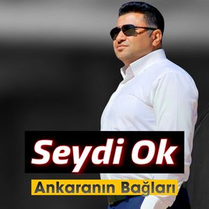 Ankara’nın bağları