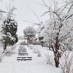 听雪