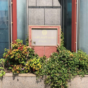 皐月の花と朝の夢