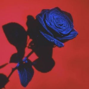 [FREE] R&B Type Beat "Posture"