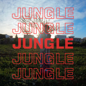 Jungle
