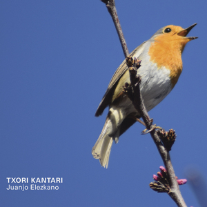 Zeuok... gure itxaropena