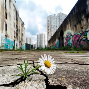 Cartas que o Vento Leva