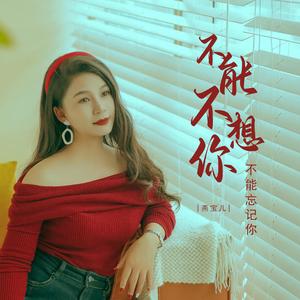 不能不想你不能忘记你 (DJ默涵版)