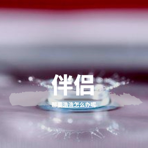 伴侣