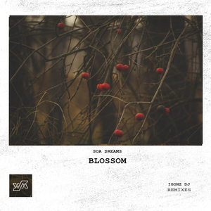 Blossom (IGONZ DJ Remix)