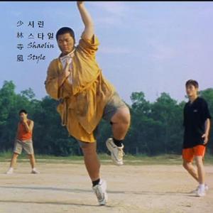 Shaolin Style (feat. Carrots Boy)