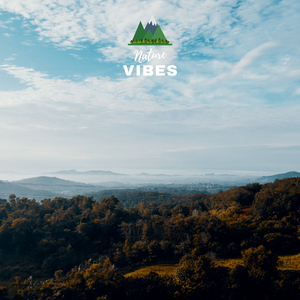 Relaxing nature sounds crickets