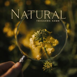 Rain, Wind and Thunderstorm at Night