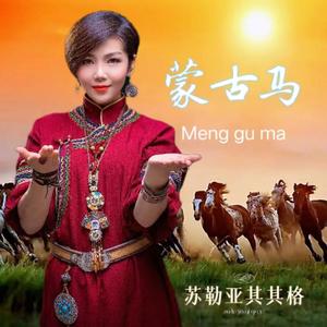蒙古马（伴奏）