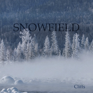 Snowfield(Instrumental Mix)