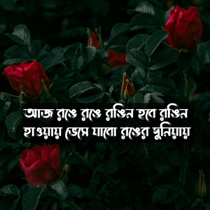 Aj Ronge Ronge Rongin Hobo Rongin Haway Bheshe Jabo Ronger Duniai