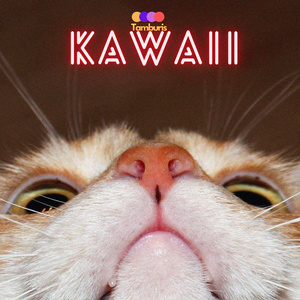 KAWAII (Radio Edit)