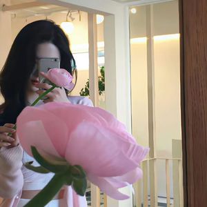 曾经的爱