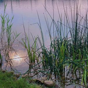 自述(Prod by NeonMusic)