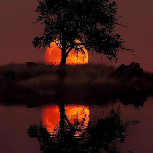 缘木求鱼（Prod. Lakewavebeatz）