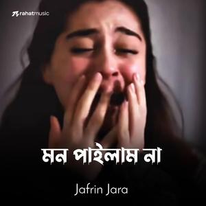 মন পাইলাম না