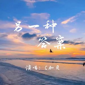 《另一种答案》