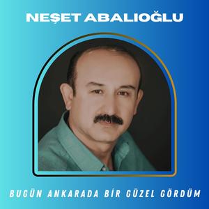 Bugün Ankarada Bir Güzel Gördüm