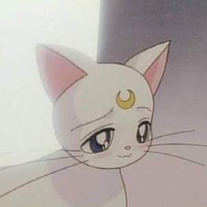 昭宥-m i s s u.（go missing remix）