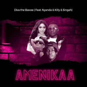 Amenikaa (feat. Killy, Nyanda & Singah)