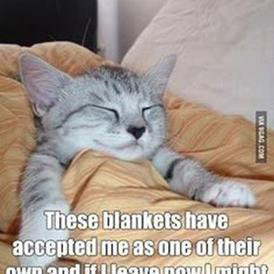 Hit My Phone (slowed)