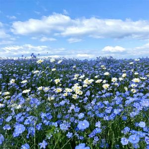 创造属于我们的新世界