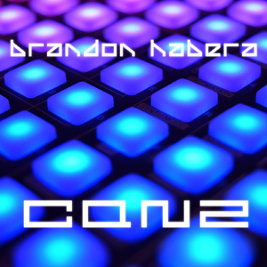 Bigelow Boulevard Blitz