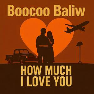 How Much I Love You