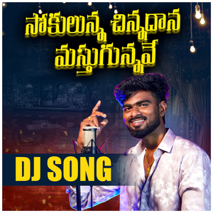 Sokulunna Chinnadhana Dj Song