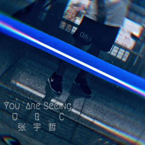 You Are Seeing