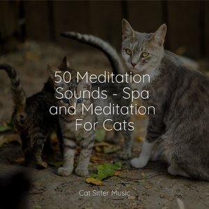 Ambient Music for Stress Relief