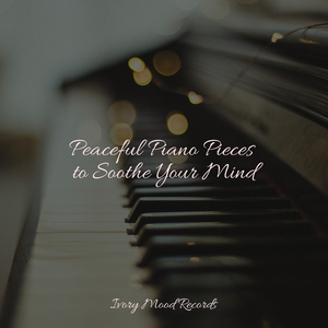 Echoes in Solitary Waves